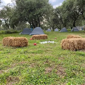 Luxuszelt Cika's Camping, Borsh